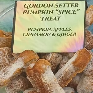 Gordon Setter Pumpkin “Spice” Treat